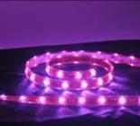RGB LEDs @ 4W per foot Flexible water resistant or standard ribbon Remote/Manual/Smart