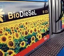 Biofuels in the Basque Country (V) Vehicle purchasing subsidies (2.