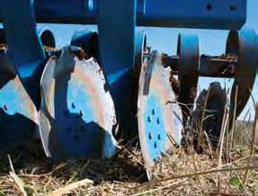 Stubble cultivation Heliodor Disc arrangement on the Heliodor Heliodor with levelling tines High working speeds and low power requirement The Heliodor compact disc harrow can be used for