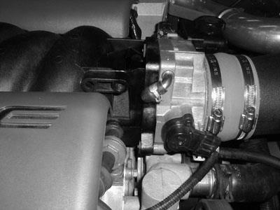 Remove hose from throttle body and install vacuum caps on throttle body & clamp. Remove hose from valve cover side and install vacuum cap.