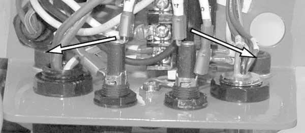 REPAIR PROCEDURES CONTINUED 5. See Figure 28. Remove the two screws and the motor housing. Figure 28. Motor Cover Screws 6.