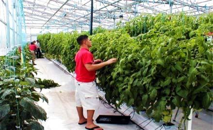 Interested in producing and managing plants in a way that conserves natural resources?