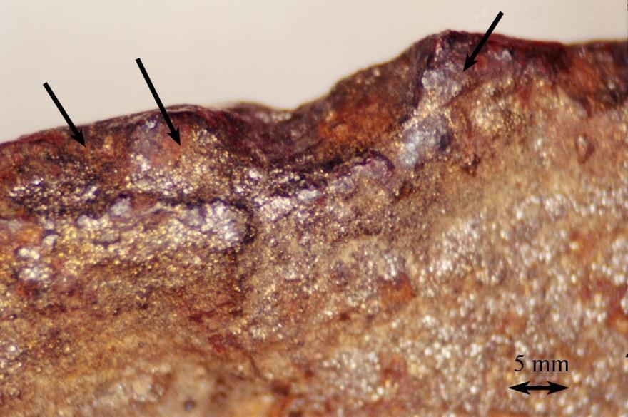 Figure 4. Macroscopic view of fracture surface.