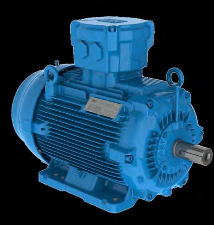 Three-Phase IEC - Flameproof ATEX MOTORS TEFC - Ex d - IE2 Standard Features: 50 Hz and and 60 Hz rated (1.