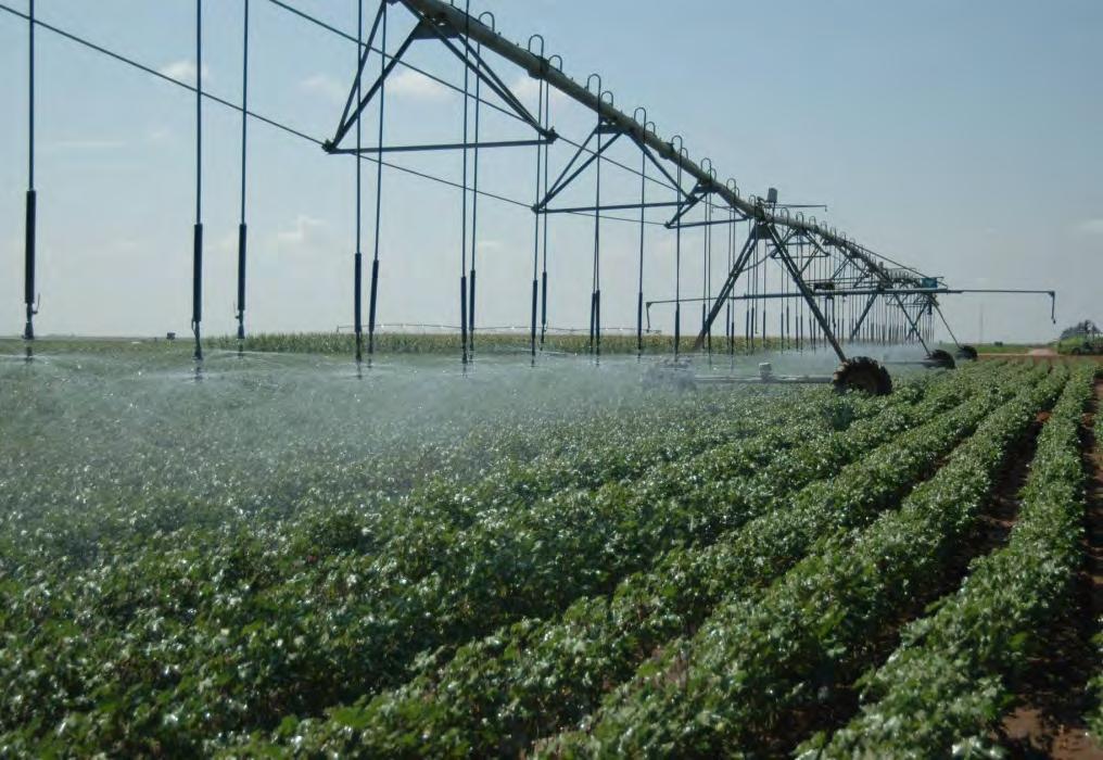 Forecast El Niño Southern Oscillation Phases and Best Irrigation Strategies to Increase Cotton Yield R. Louis Baumhardt 1, Steve A. Mauget 2, Prasanna H.