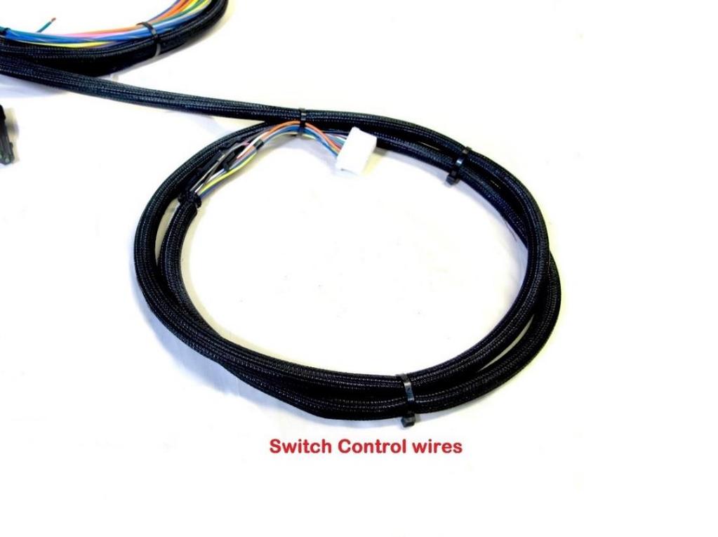 Step 9: As most switches are located in the interior of the vehicle, the Switch Control wires will likely need to pass through