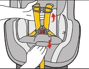 Section 6: Adjusting the Harness System to Fit Your Child Place your child in the child restraint prior to installing in the vehicle and determine if the shoulder strap height needs to be adjusted.