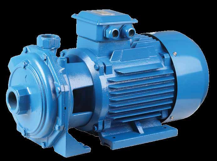 SCM2 Series Twin Impeller Centrifugal Pumps 9 75 ISO2548-C 22V/5HZ 6 45 SCM2-45 SCM2-6 SCM2-8 SCM2-7 SCM2-52 SCM2-55 2 4 6 8 1 12 14 16 18 2 22 l/min 1.2 2.4 3.6 4.8 6. 7.2 8.4 9.6 1.8 12. 13.
