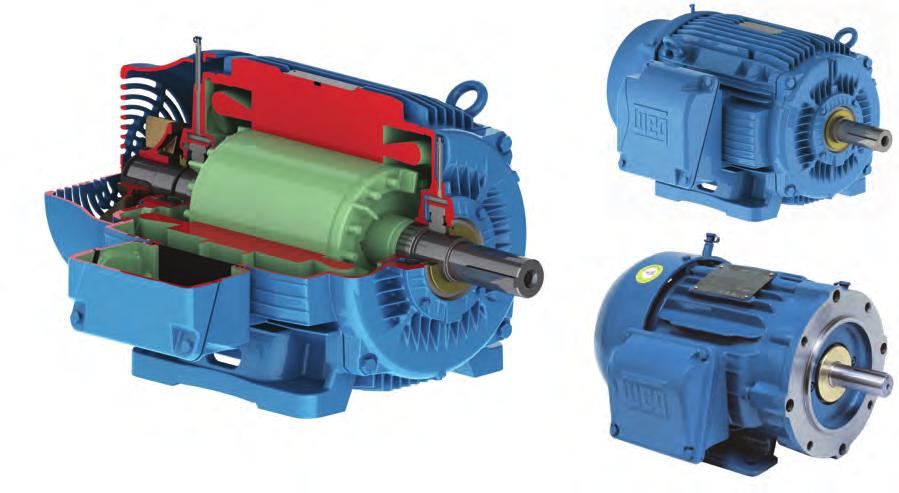 W22 IEEE841 Severe Duty 1-500HP Automation Enery Transmission & Distribution Coatins The WEG W22 product is the latest eneration of Severe Duty Cast Iron frame industrial motors desined to meet the