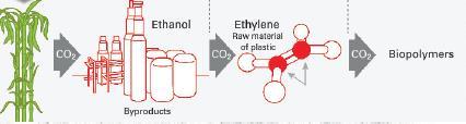 Biofuels Sugarcane Dehydration Ethanol is broken into ethylene &