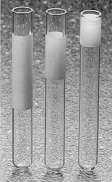 65 ml 1 Abgene deep well cluster tube 1.2 ml 1 Abgene flat cap tube 0.
