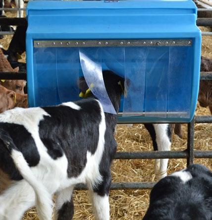 See Our Calving Products In Action!