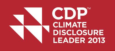 companies admitted in the CDLI (Carbon Disclosure Leadership Index)