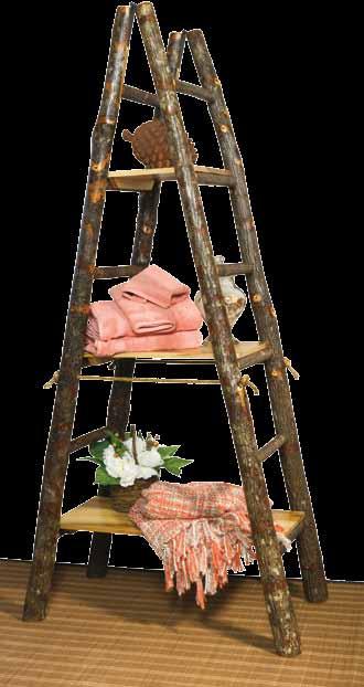 Ladder with 6  1358 22 w