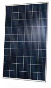 ANTUM technology enables panels to convert more sunlight into electricity, resulting in higher yields. Q.POWER Warranty: 12 years Cell Type: Polycrystalline Output: 270 W China The newly released Q.