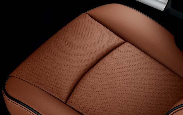 seats - Black / Cattle Tan Filigree leather trimmed seats (Longhorn)