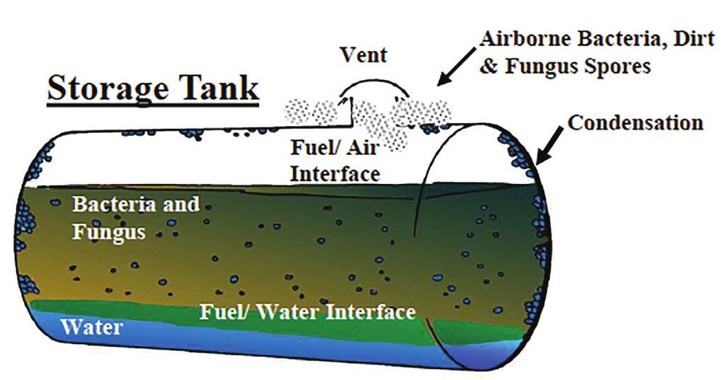 Water settles on the tank bottom, clings to the side walls and emulsifies