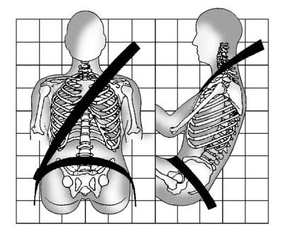 Seats and Restraints 3-13 First, before you or your passenger(s) wear a safety belt, there is important information you should know. shoulder belt should go over the shoulder and across the chest.