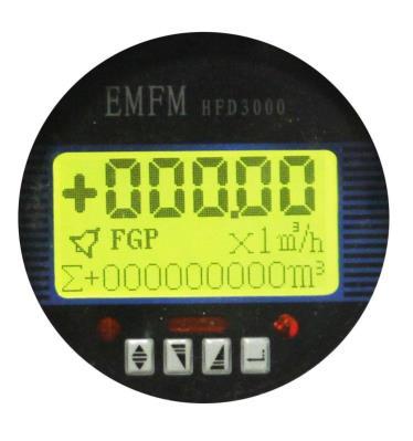 EFM Series meters come rated at IP65 for use in typical chiller and boiler room appli-cations, IP68 is available on request. Rate and total indication are standard.