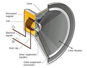 If you examine the back area of a loudspeaker, you should be able to see the permanent magnet and coil of wire for the electromagnet.