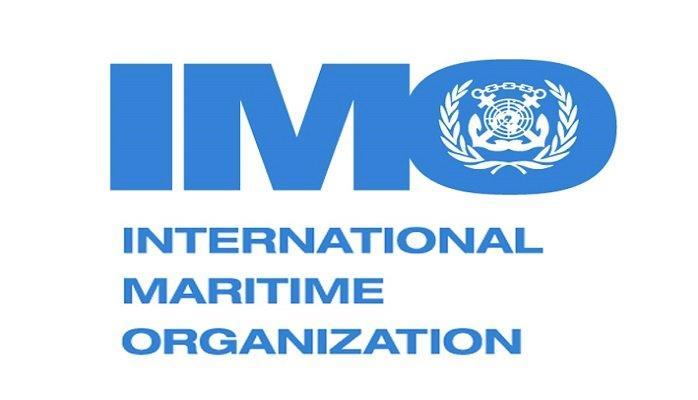 IMO Data Collection System (DCS) IMO has developed a Data Collection System for