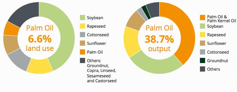Fact: Oil palm tree is very