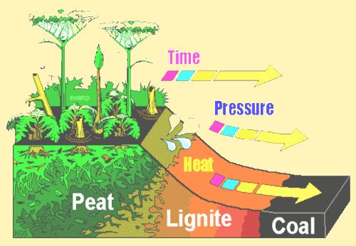 Solar Energy From 400 Million Years Ago Coal, petroleum and natural gas formed from buried plant life The sunlight is transformed through photosynthesis Sunlight Photosynthesis Plant Life Cycle