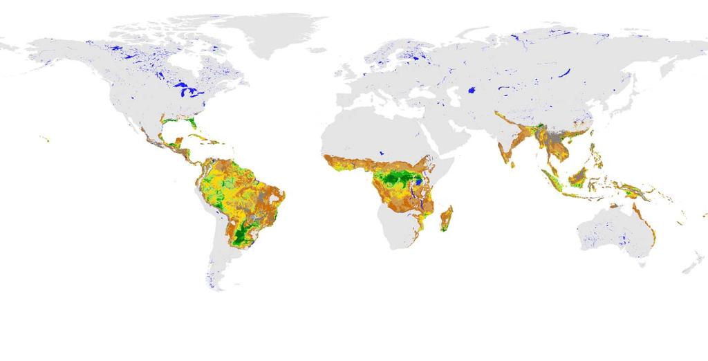 Global suitability for rain-fed sugarcane (IIASA, 2009) Undefined SI > 75 : Very high SI > 63 : High SI > 50 : Good SI > 35 : Medium SI > 20 : Moderate