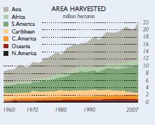 Global sugar cane production 1960-2007 Inspite of sugarcane