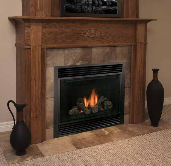 DVB ELICIT TIMELESS BRILLIANCE With three sizes to choose from, the DVB Series fireplace provides a reliable heat source for any room.