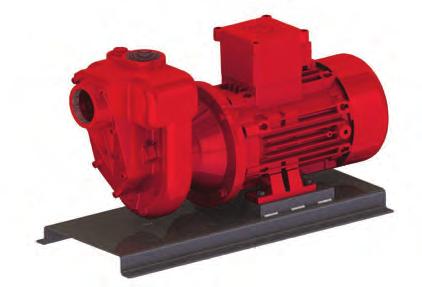 flameproof heavy duty motor with IP 55 protection IP rating Total Head Capacity (l/m) Cast iron foot mounting, all units 4kW and over are mounted on a steel plate Viton/Carbon/Alumina seals standard