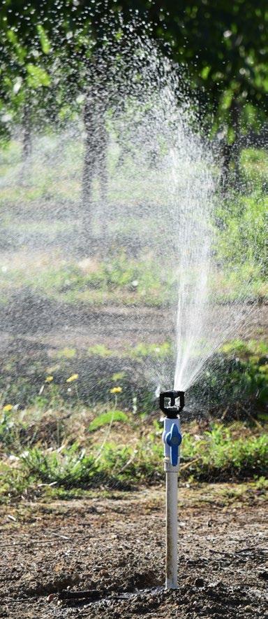 sprinklers, our products minimize