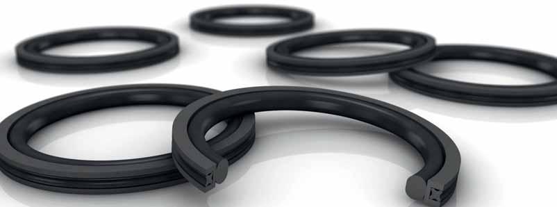 Turcon AQ-Seal Double Acting Rubber Energized