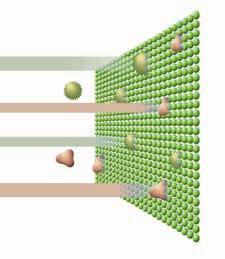 wasabi-modified Nano Titanium particles to firmly catch and deactivate bacteria,
