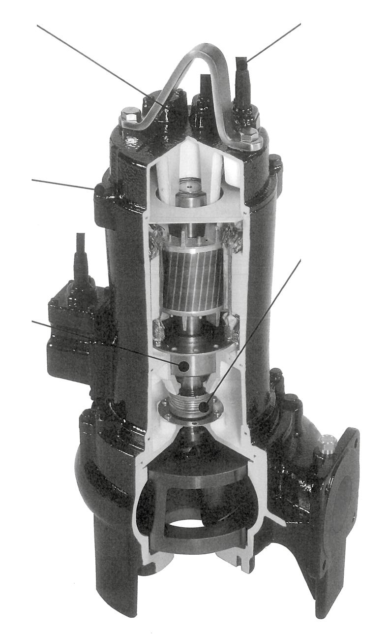 D SERIES (DS, DVS, DL - DL W/C, DML, DMLV) TECHNICAL FEATURES MOTOR PROTECTION In-built thermal overload or miniature thermal protectors CABLE ENTRY Unique vulcanised, three way sealing cable entry