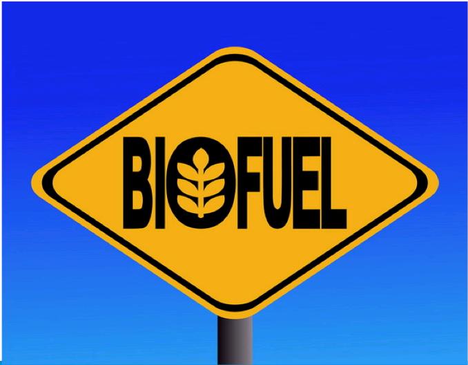 Summary Why Biofuels?