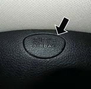 GETTING STARTED 2. Supplemental Side Air Bag Inflatable Curtains (SABICs): Located above the side windows. The trim covering the SABICs is labeled SRS AIRBAG or AIRBAG.