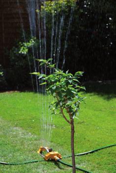 You are advised to spend about 5 minutes on this question. 16 4 A gardener wants an automatic system that will oscillate a lawn sprinkler.