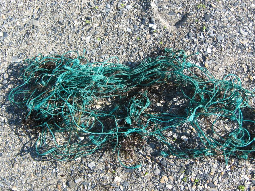 6: Trawl net