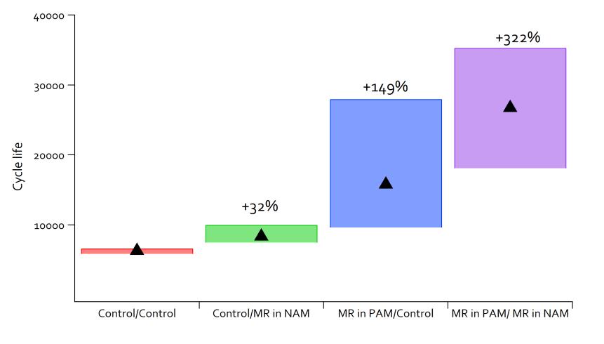 Effect of Molecular Rebar on SBA S0101 Model (Idling Start-Stop) PAGE 25 Molecular Rebar in NAM/PAM increases cycle life up to 500% Molecular