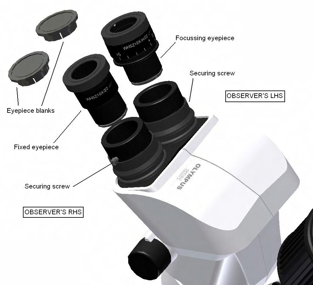5. Remove the eyepiece blanks and insert the eyepieces.