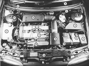 1 4 Maintenance procedures Engine compartment components 1 Spark plugs (Section 31) 2 Engine oil filler cap (Section 3) 3 Brake fluid reservoir (Section 3) 4 Auxiliary fusebox (Chapter 12) 5 Air