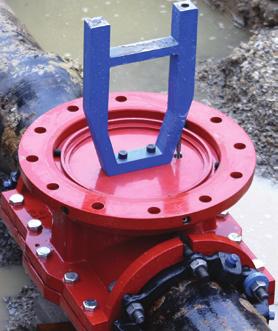 permanent part of the CIC. Install the InsertValve size of your choice.