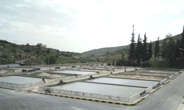 Drying beds (WWTP As-Salt / Jordan) primary sludge surplus sludge (if necessary aerob