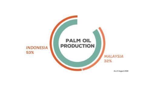 Is my cooking oil causing the haze? Palm oil is widely used as a cooking oil in Singapore.