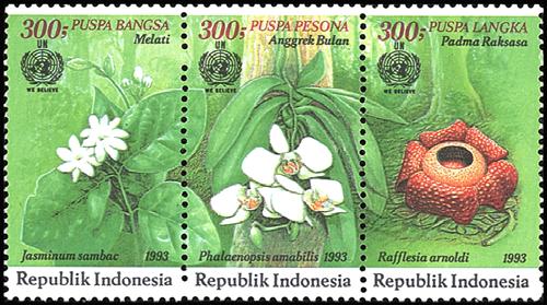 No. 1543c, Rafflesia arnoldi. 700r multicolored Imperf 1569A A427 3500r like #1569 4 2.00 PHILAKOREA 94 (#1569A).