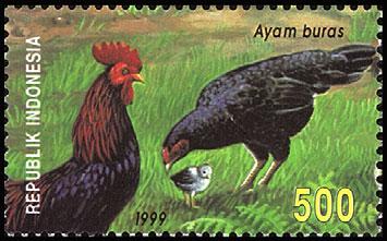 A538 1000r Pigeon 1876 A538 1000r Geese b. Pair, #1875-1876 Sheet of 6, #1871-1876 Nos.