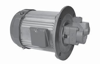 Motor Pumps Features These are motor pumps that integrate a DSP type vane pump and an electric motor in one body.