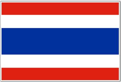 Outlook Thailand Energy policy laying the foundations for energy storage Thailand relies heavily on natural gas for power generation with IPPs followed by the State (EGAT) dominating ownership.