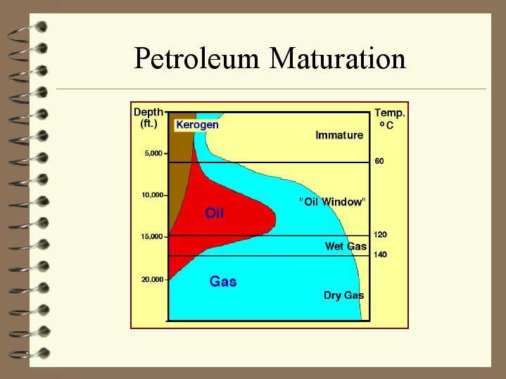 Petroleum Maturation The most oil is produced between the